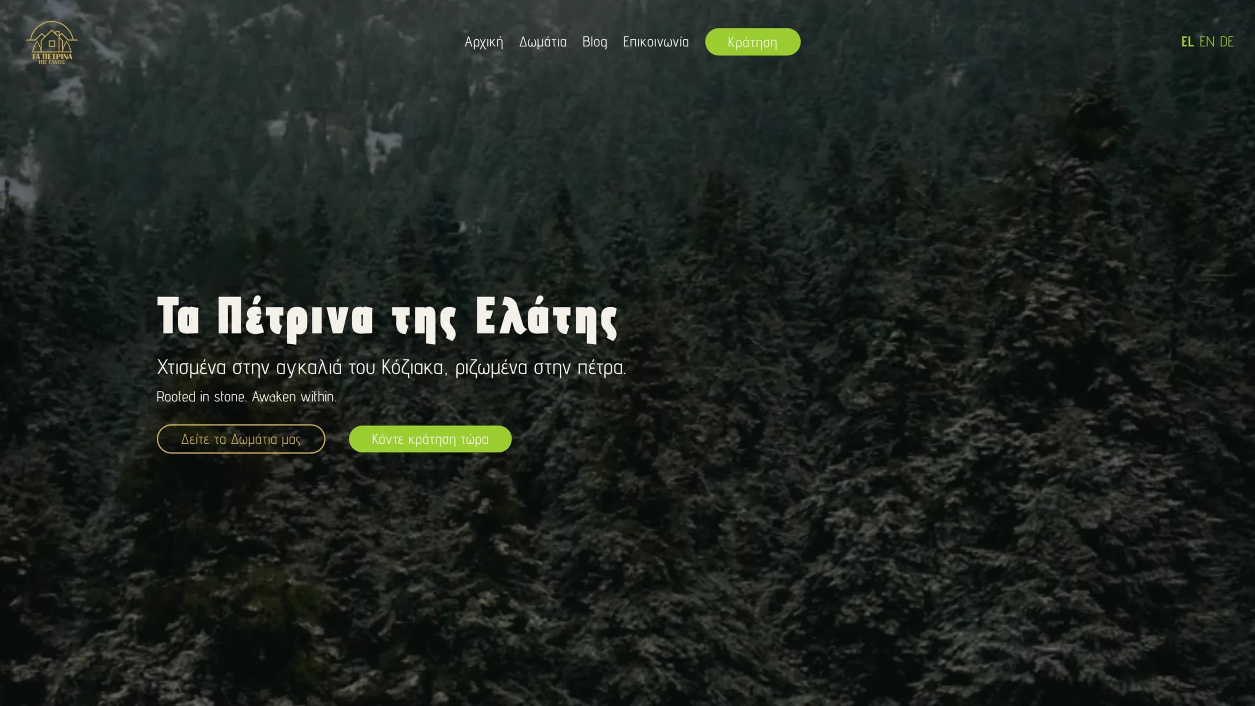 Die neue Desktop-Startseite von Petrina Elatis nach dem Redesign