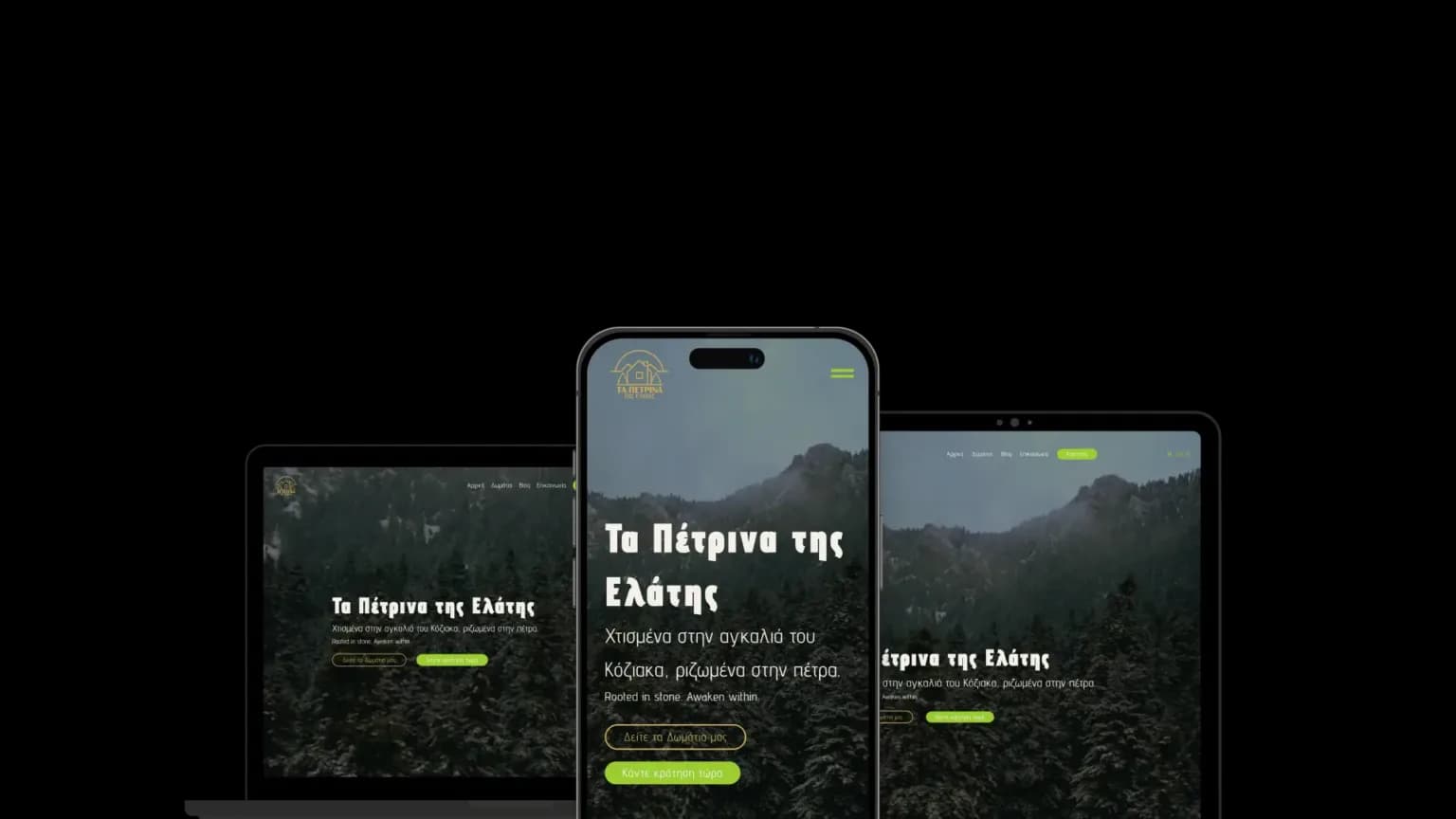 Die neue responsive Website von Petrina Elatis auf Desktop, Tablet und Smartphone